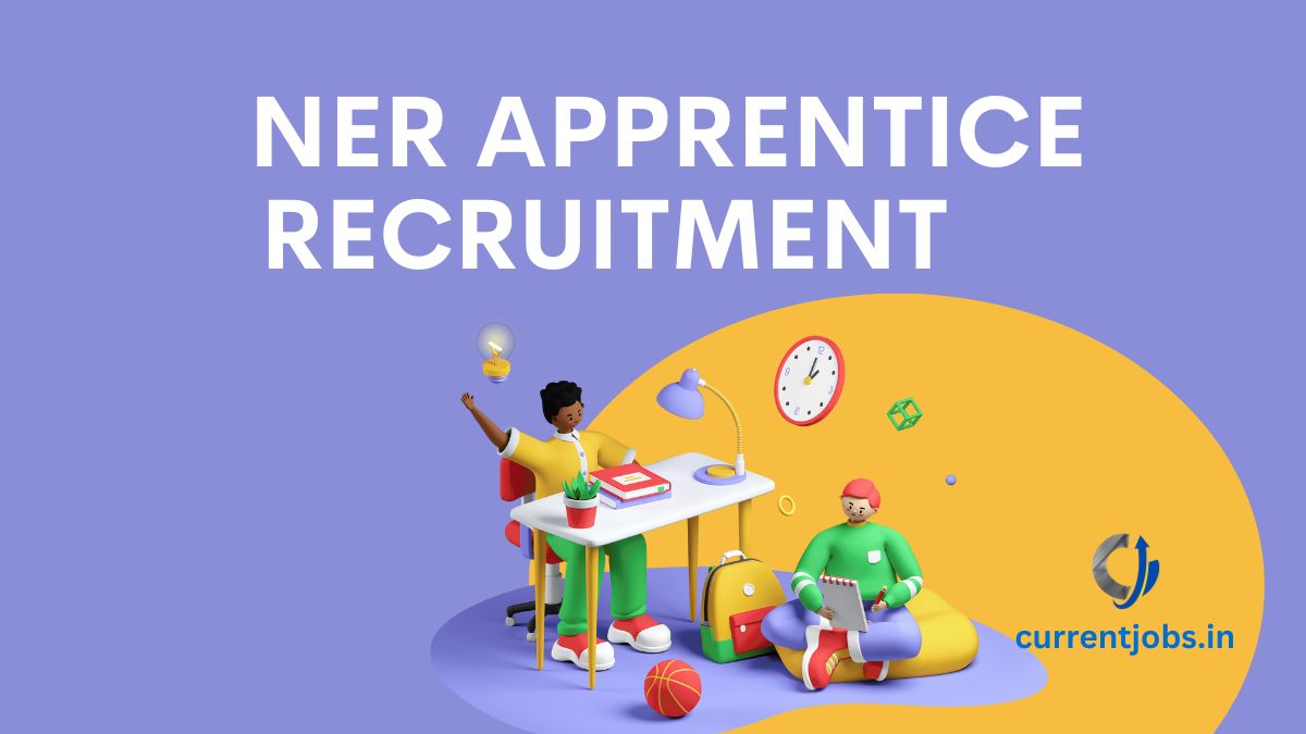 NER Apprentice Job